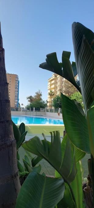 Elegante Alojamiento Con Piscina A 200 M Del Mar. Appartamento Benalmádena Esterno foto